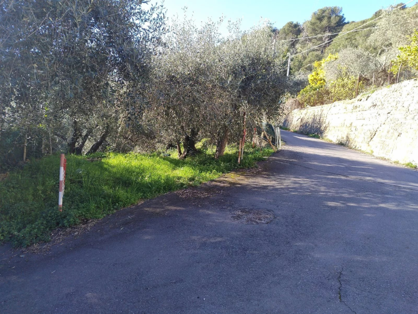 immagine annuncio 5 di 6