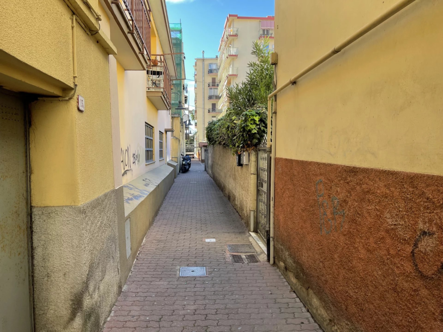 immagine annuncio 1 di 10