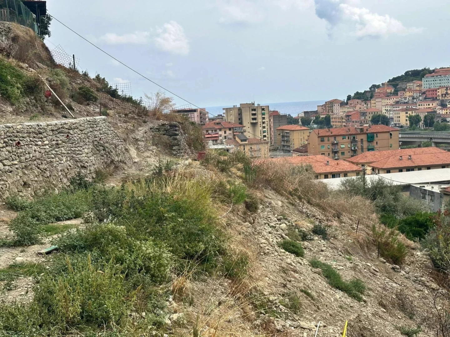 immagine annuncio 3 di 7