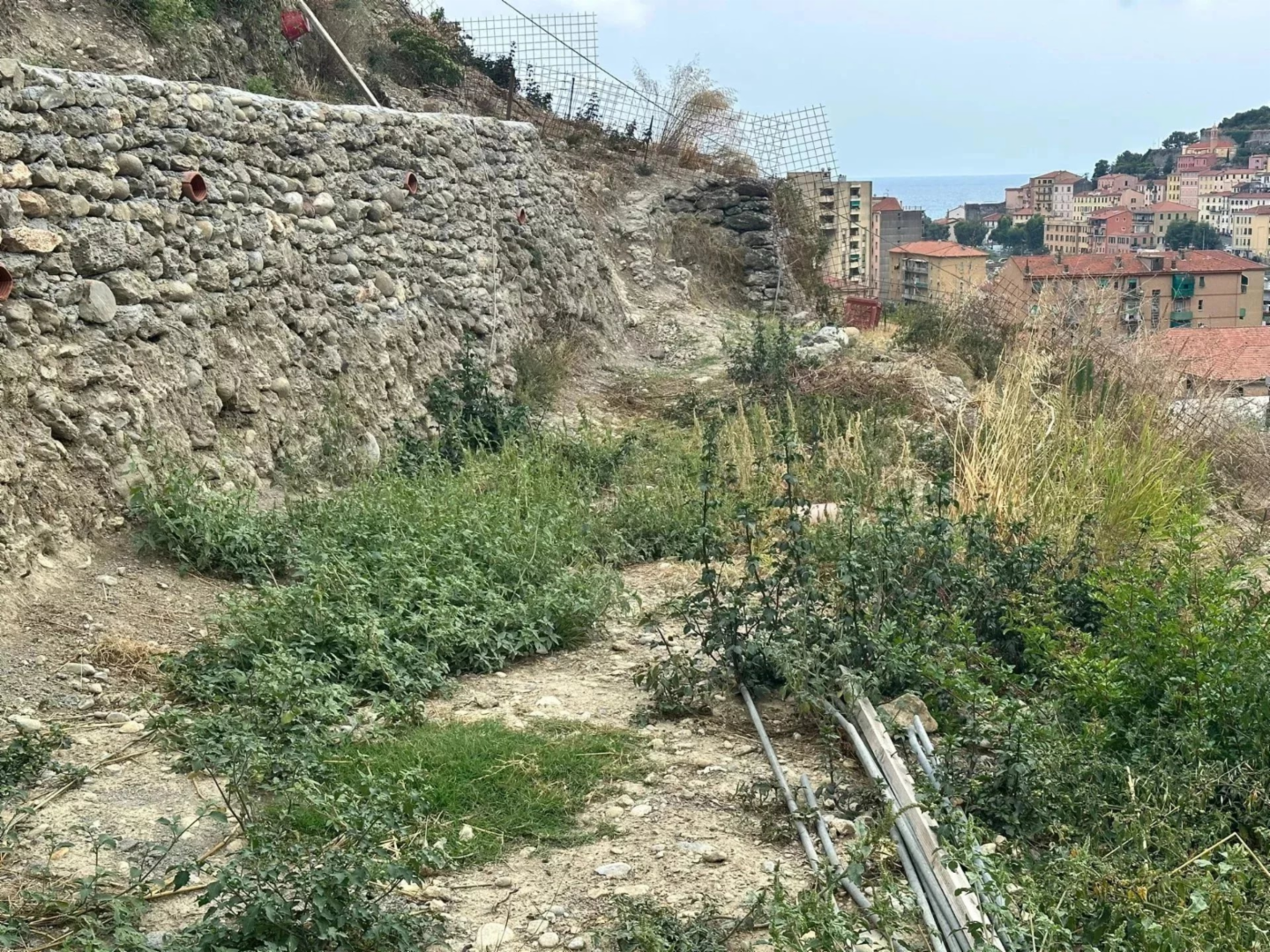 immagine annuncio 4 di 7