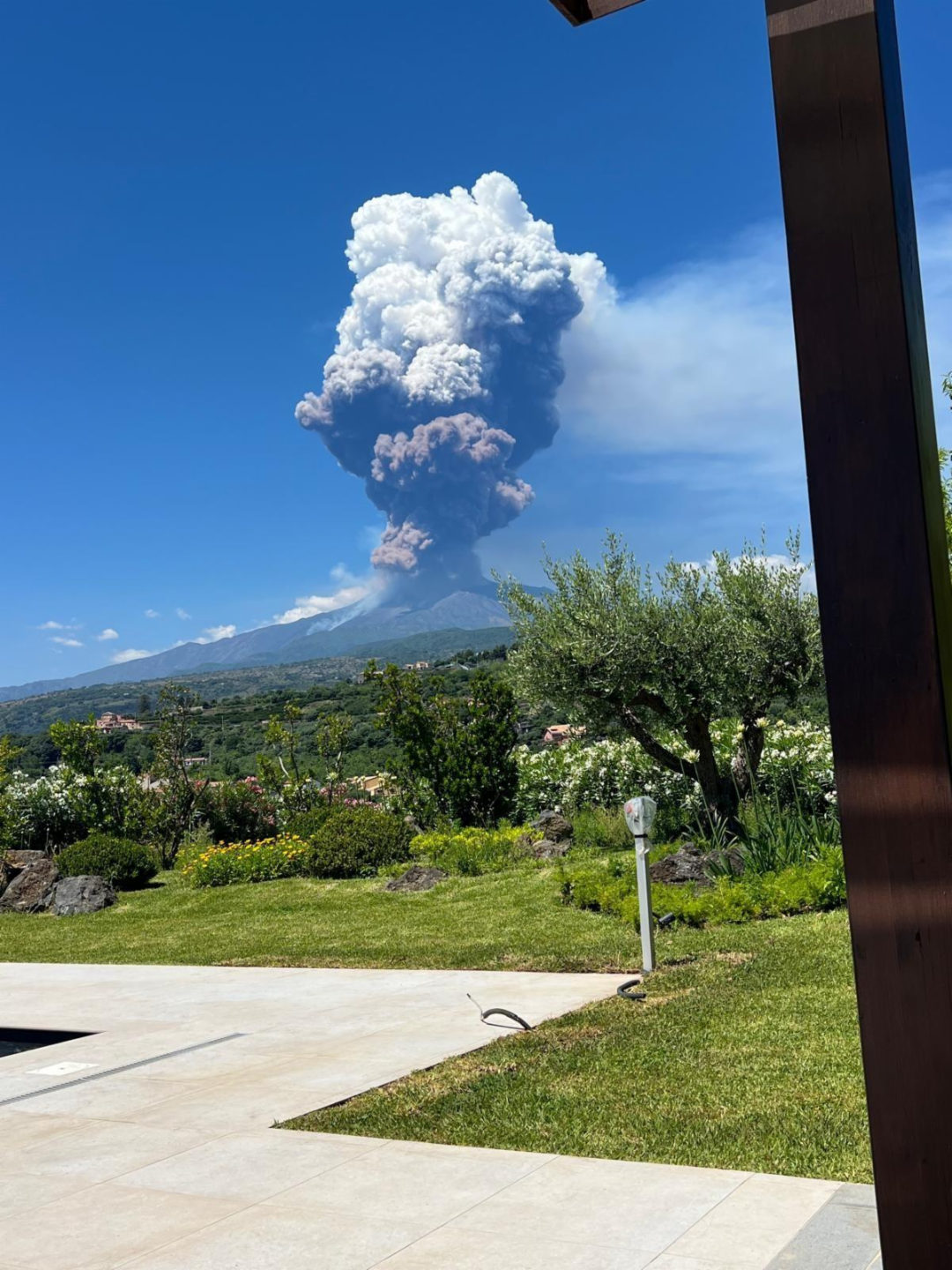 immagine annuncio 3 di 8