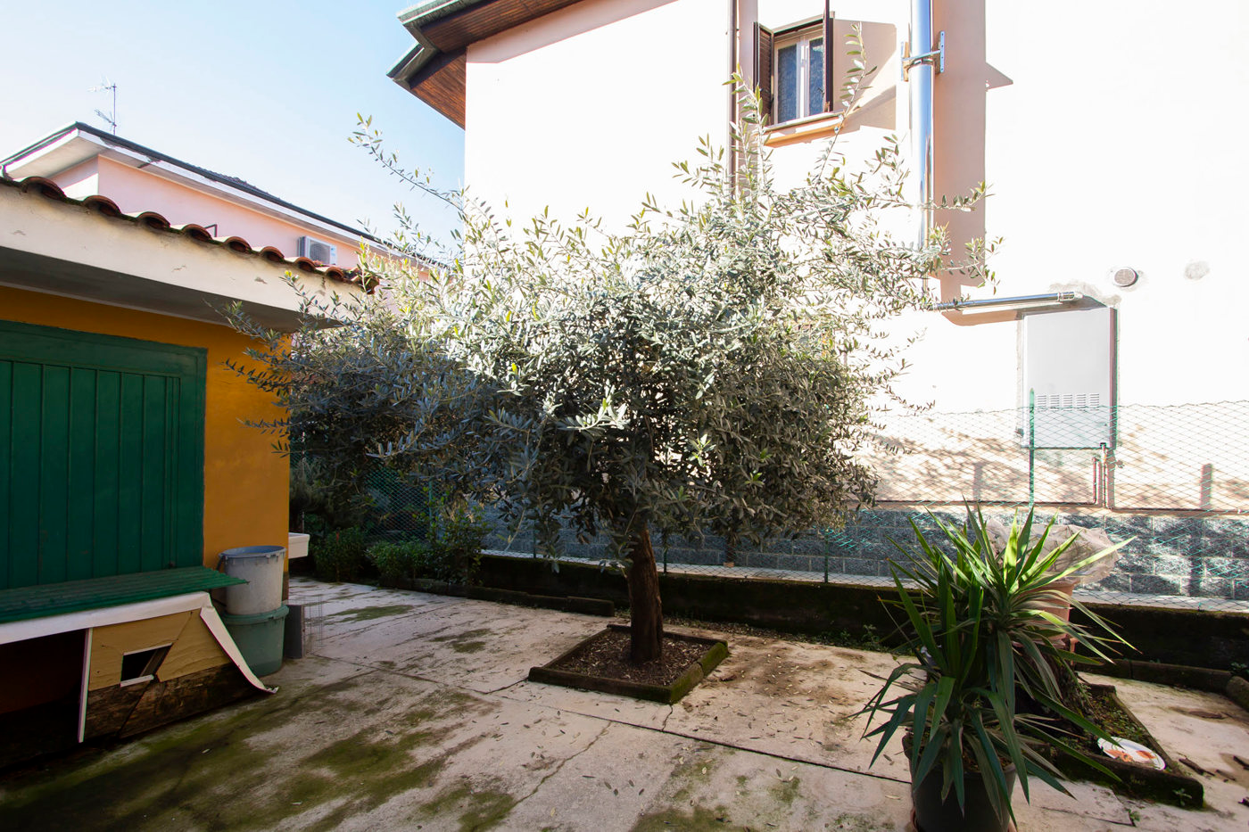 immagine annuncio 4 di 10