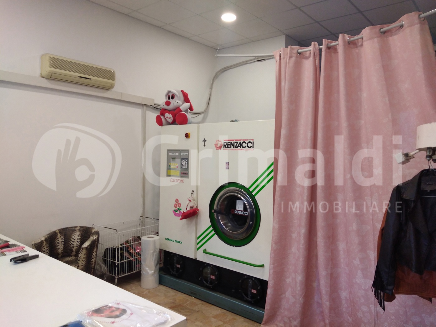 immagine annuncio 1 di 10