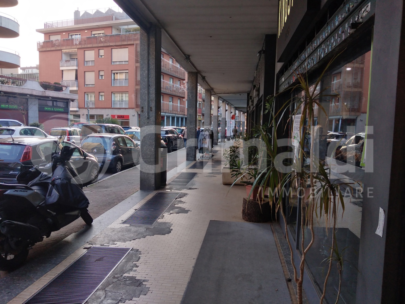 immagine annuncio 3 di 10