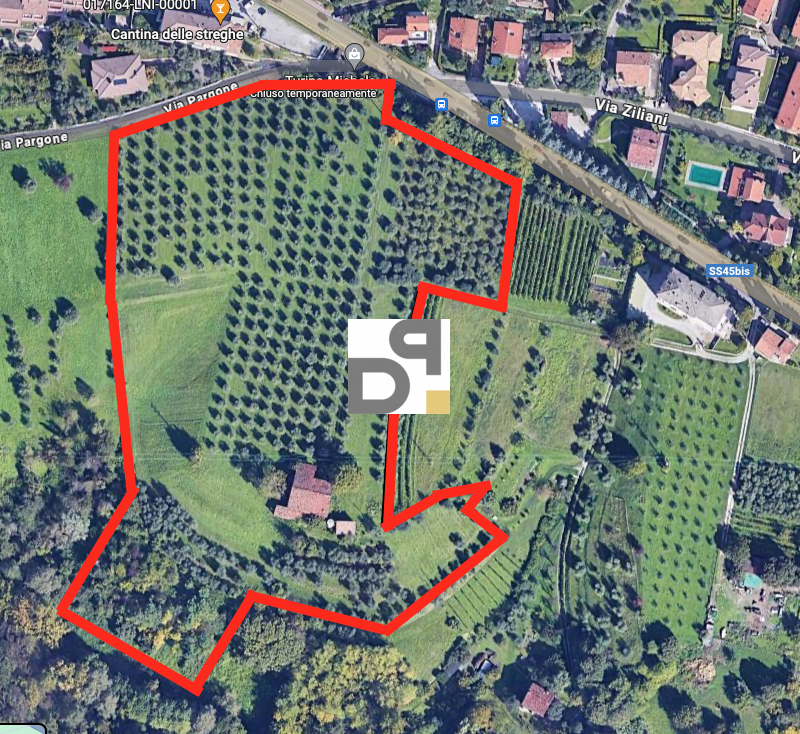 immagine annuncio 2 di 7