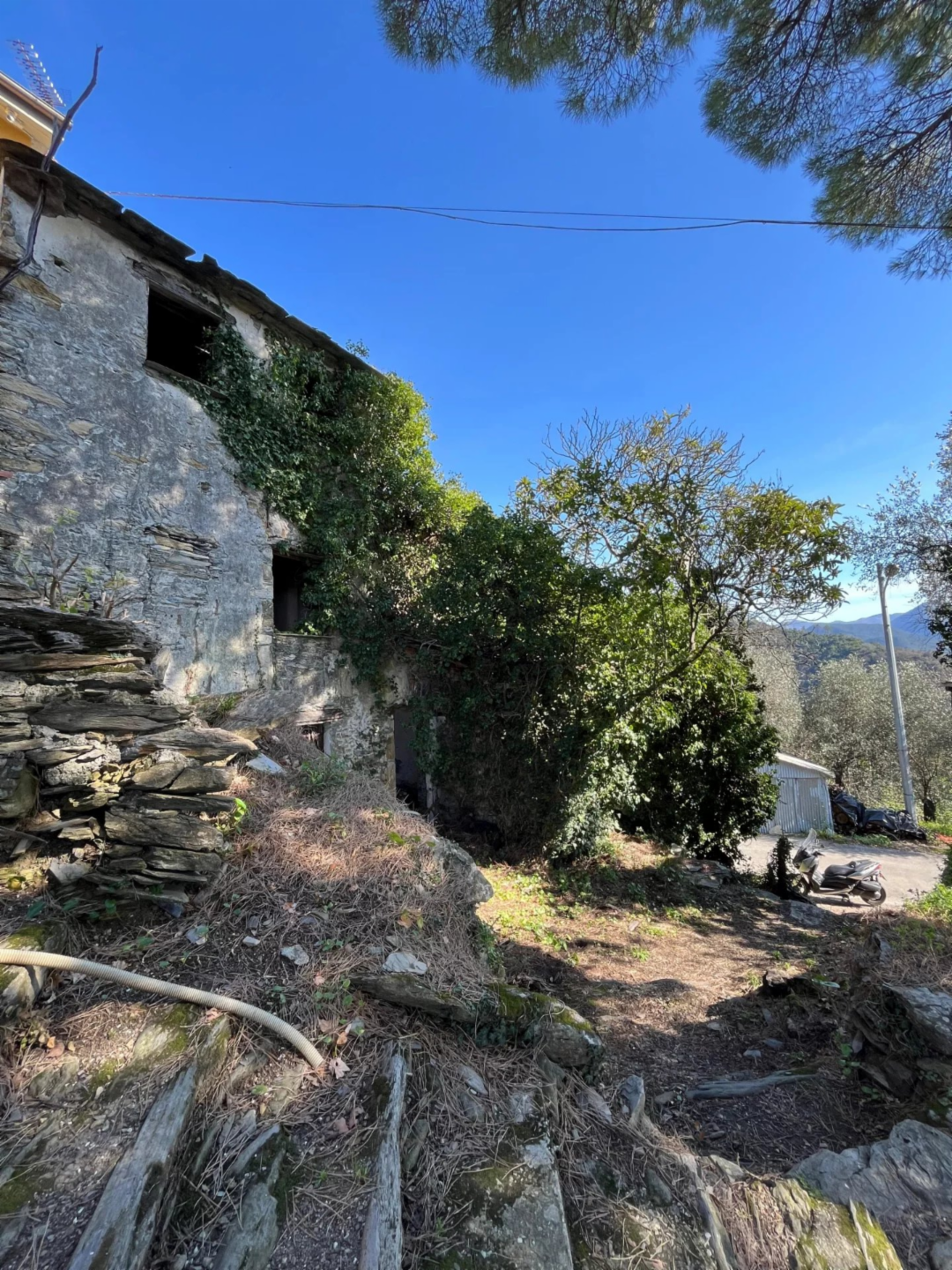 immagine annuncio 1 di 10