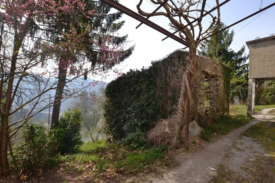 immagine annuncio 3 di 10