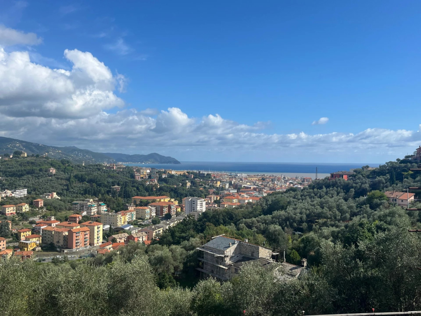immagine annuncio 1 di 2