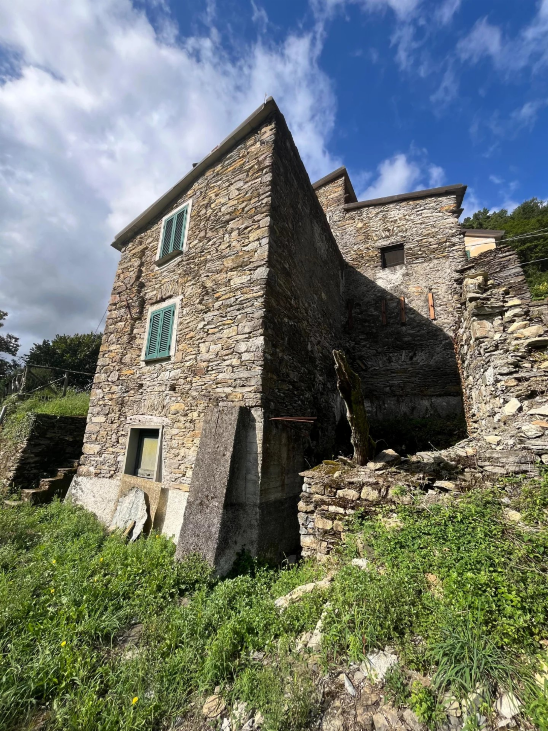 immagine annuncio 3 di 10