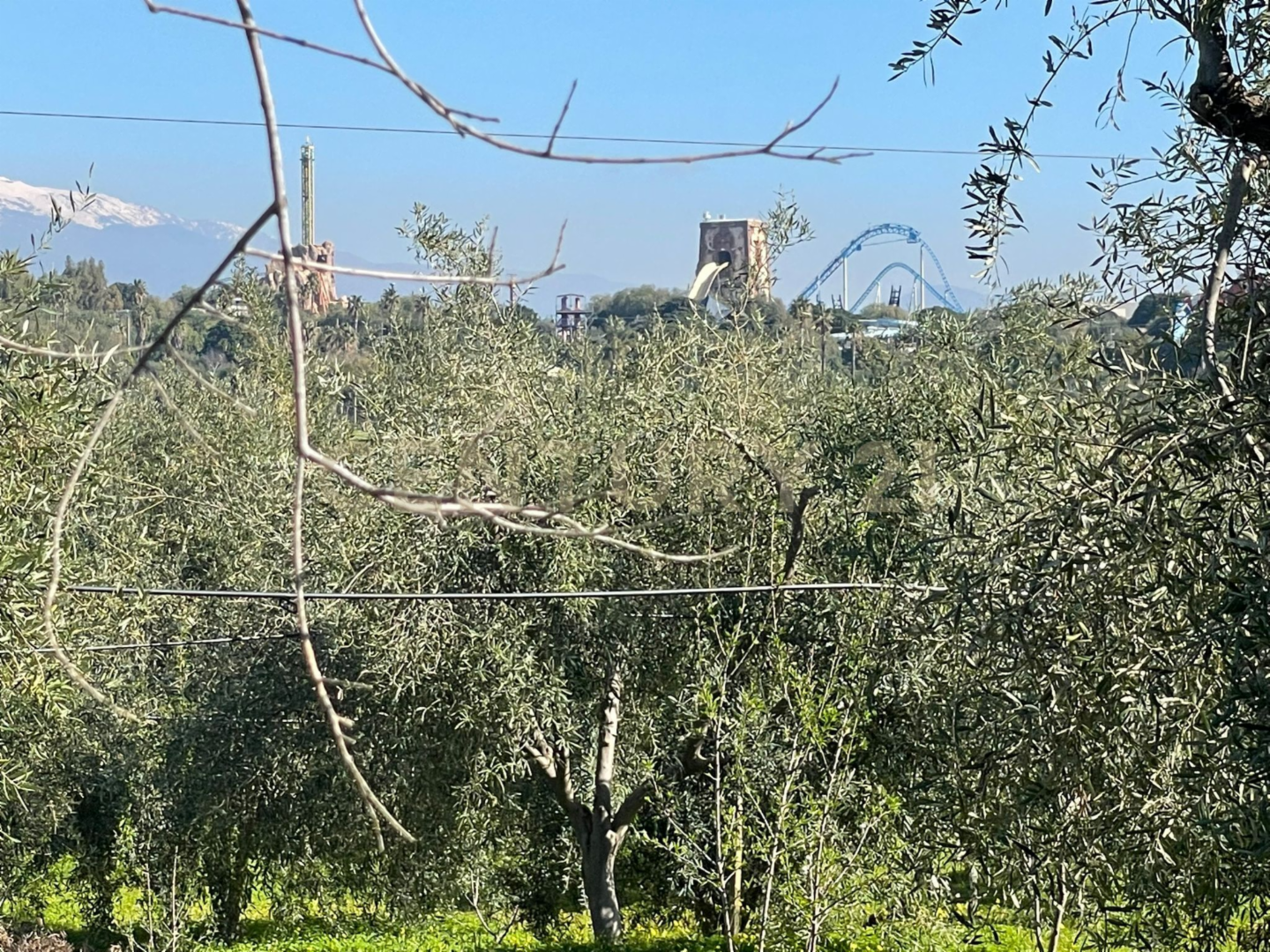 immagine annuncio 9 di 10