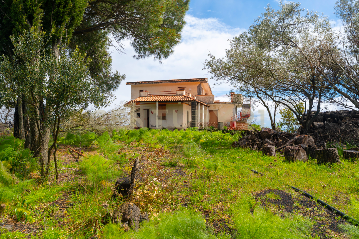 immagine annuncio 7 di 10