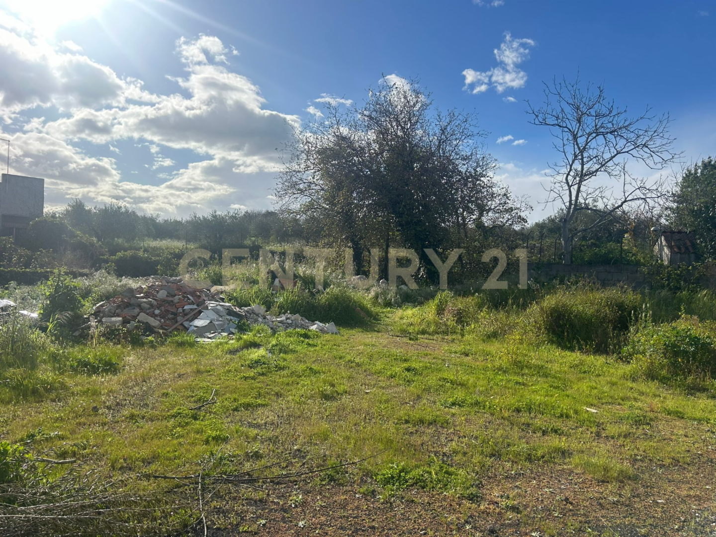 immagine annuncio 1 di 7