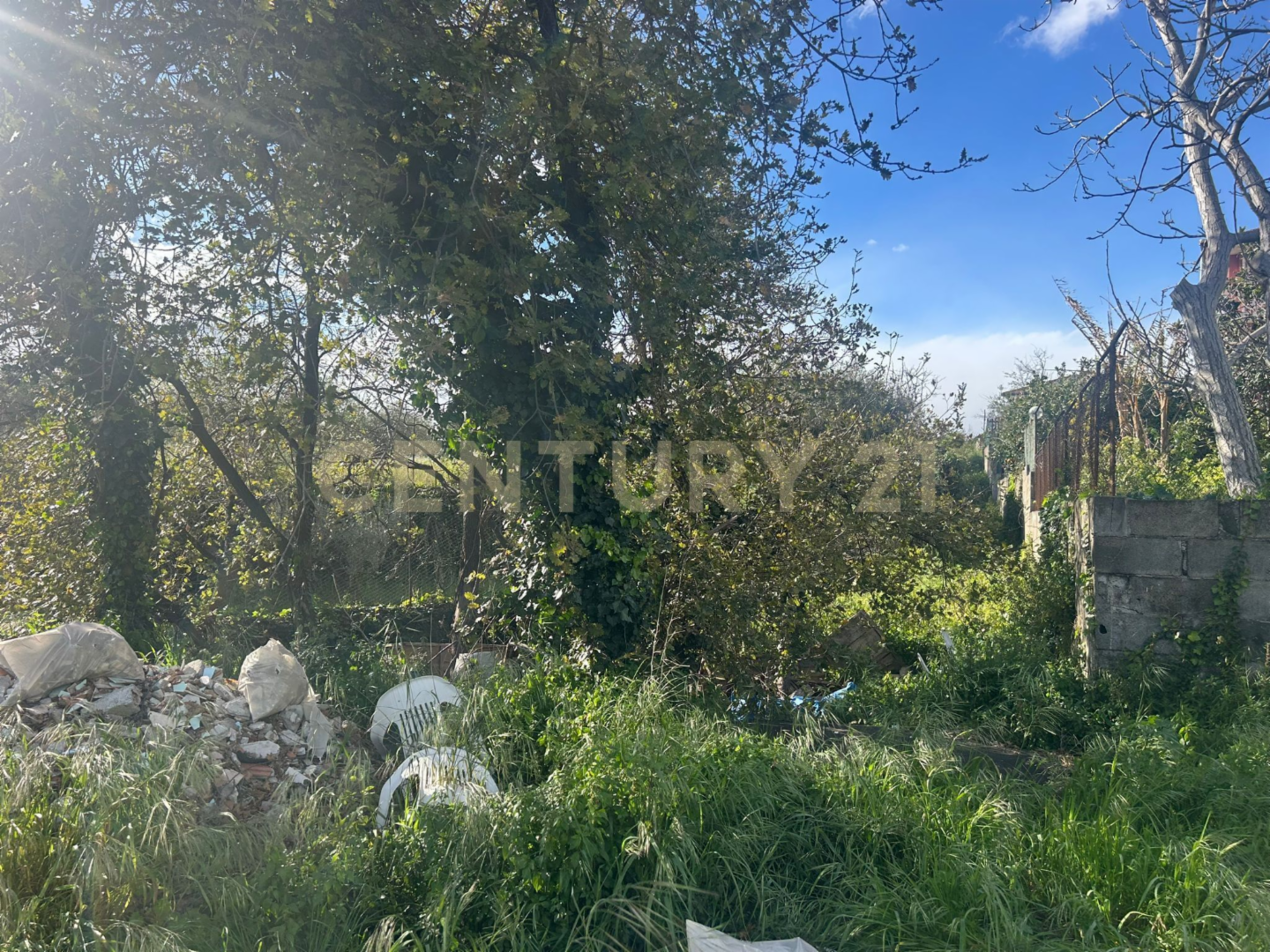 immagine annuncio 6 di 7