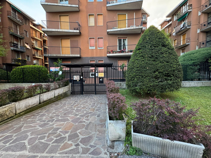 immagine annuncio 5 di 8