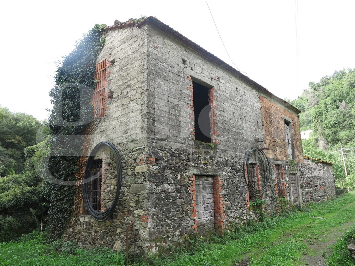 immagine annuncio 5 di 10
