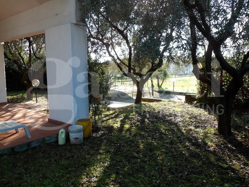 immagine annuncio 7 di 9
