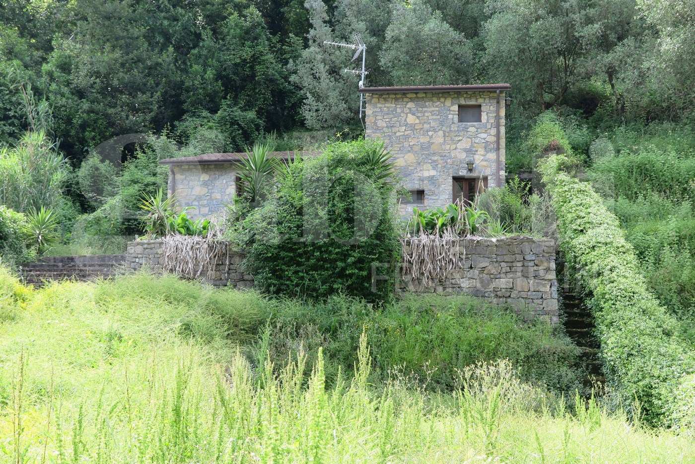 immagine annuncio 2 di 4
