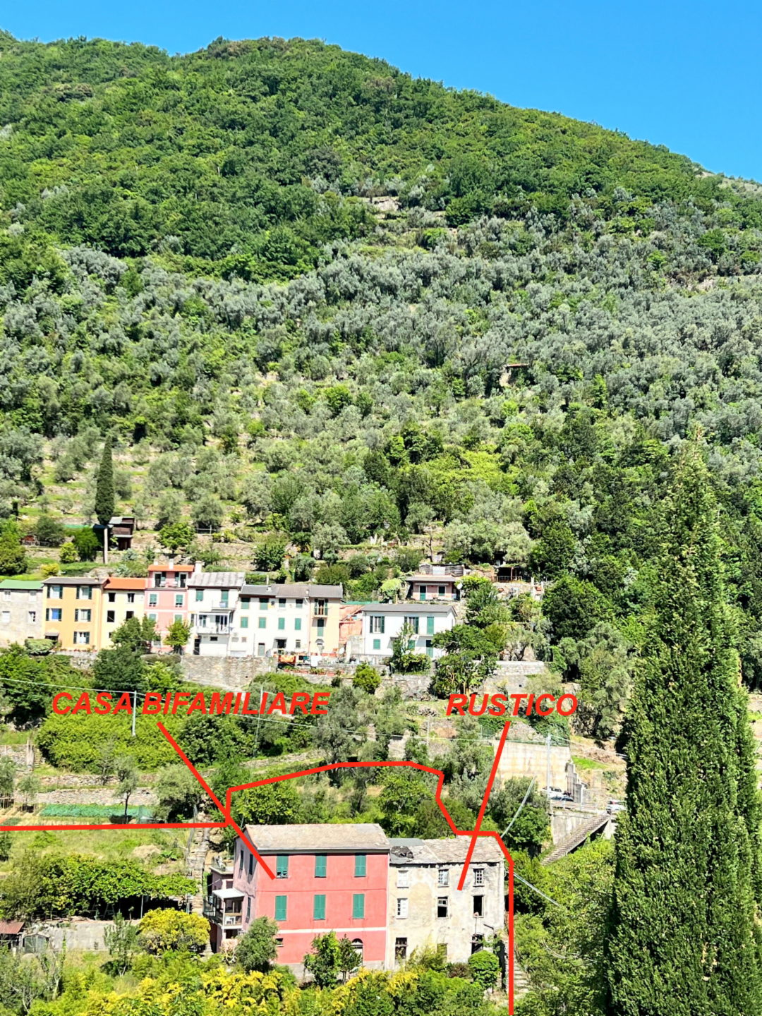 immagine annuncio 6 di 10