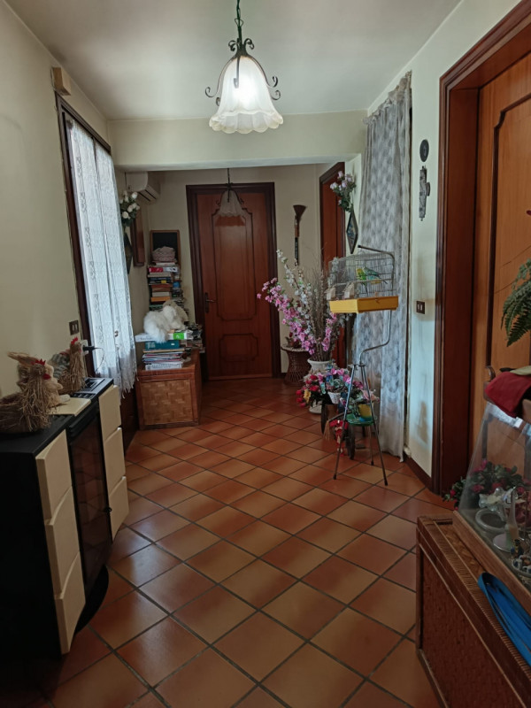 casa indipendente in vendita a Montagnana in zona Borgo San Marco