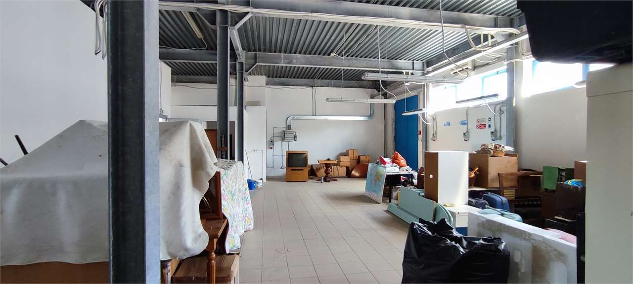 immagine annuncio 6 di 10