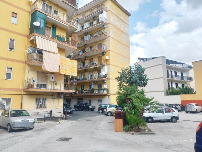 immagine annuncio 9 di 10