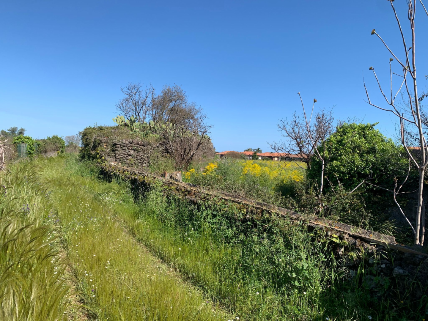 immagine annuncio 1 di 7