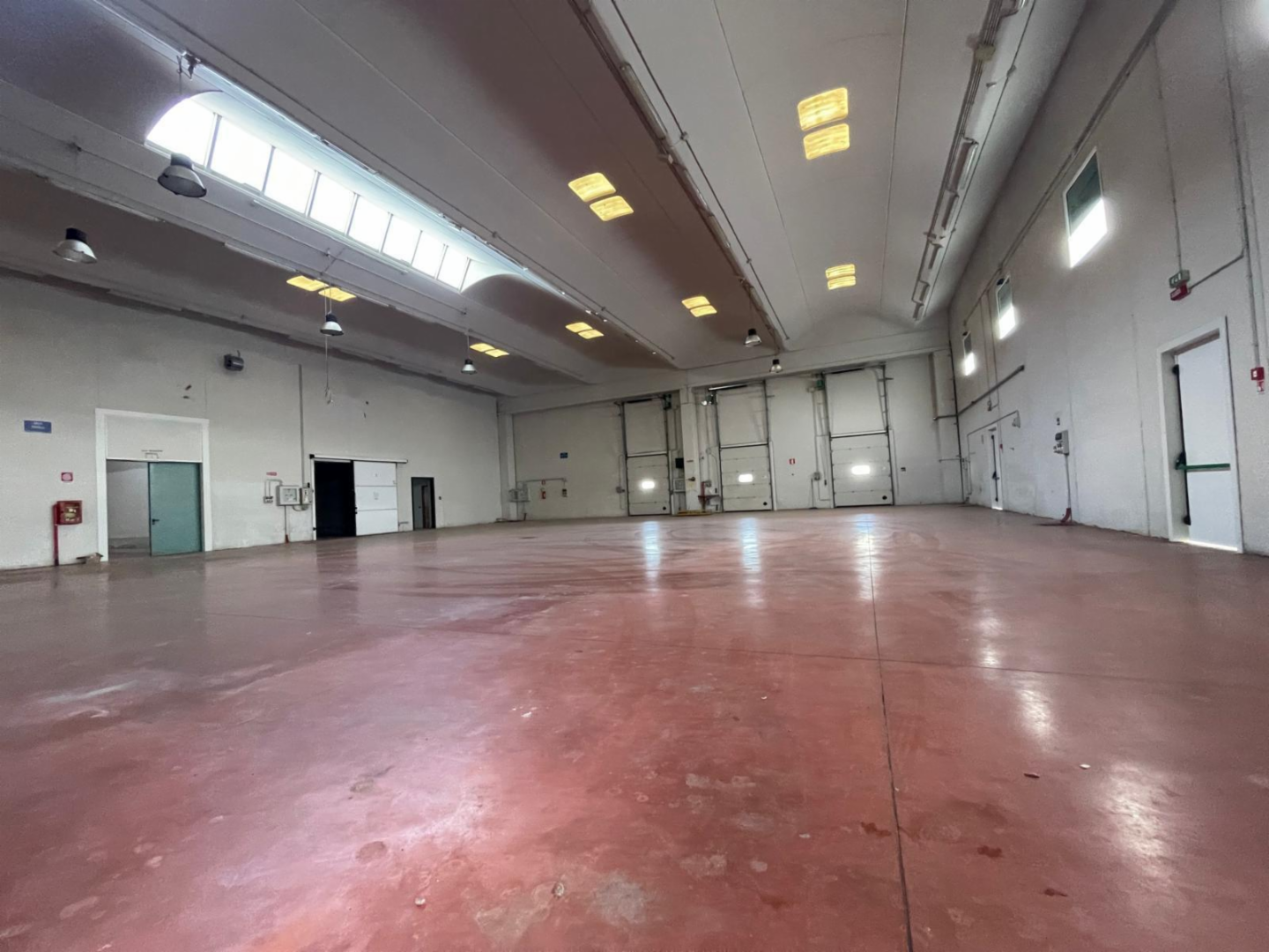 immagine annuncio 7 di 10