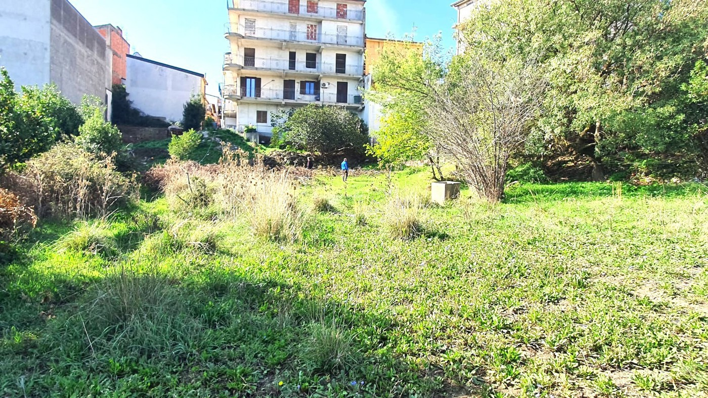 immagine annuncio 3 di 9