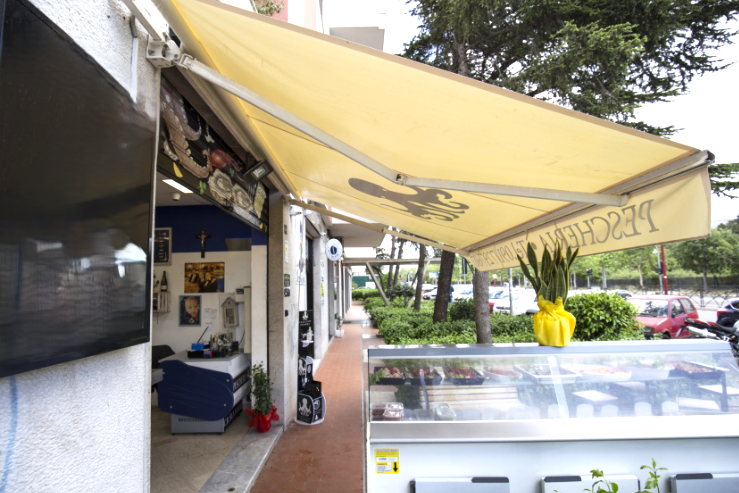 immagine annuncio 2 di 10