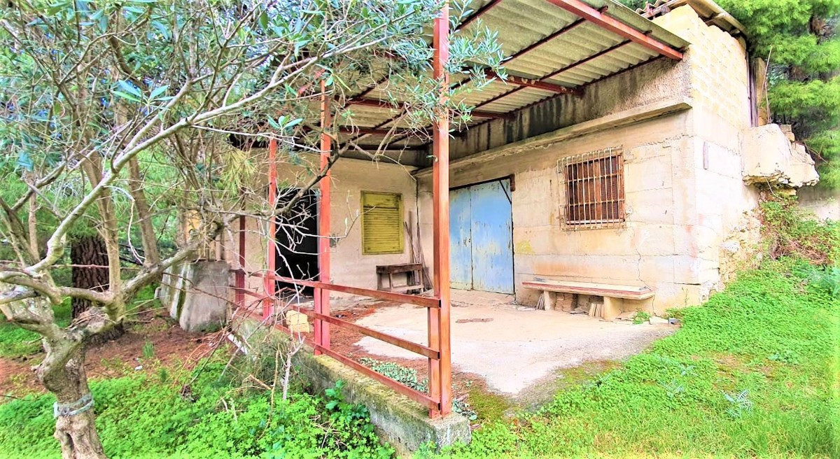 immagine annuncio 1 di 10