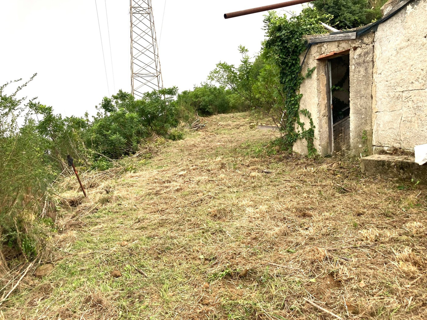 immagine annuncio 5 di 9