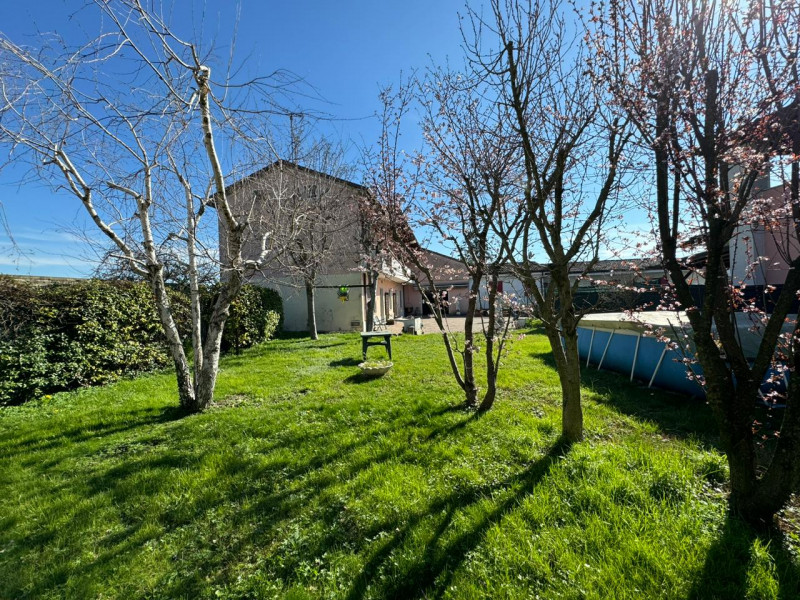 immagine annuncio 1 di 9