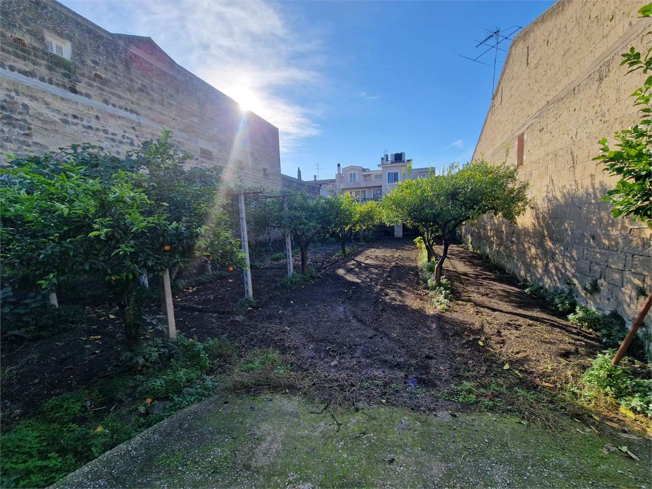 immagine annuncio 3 di 9