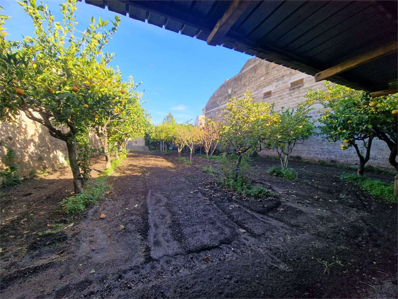 immagine annuncio 1 di 9