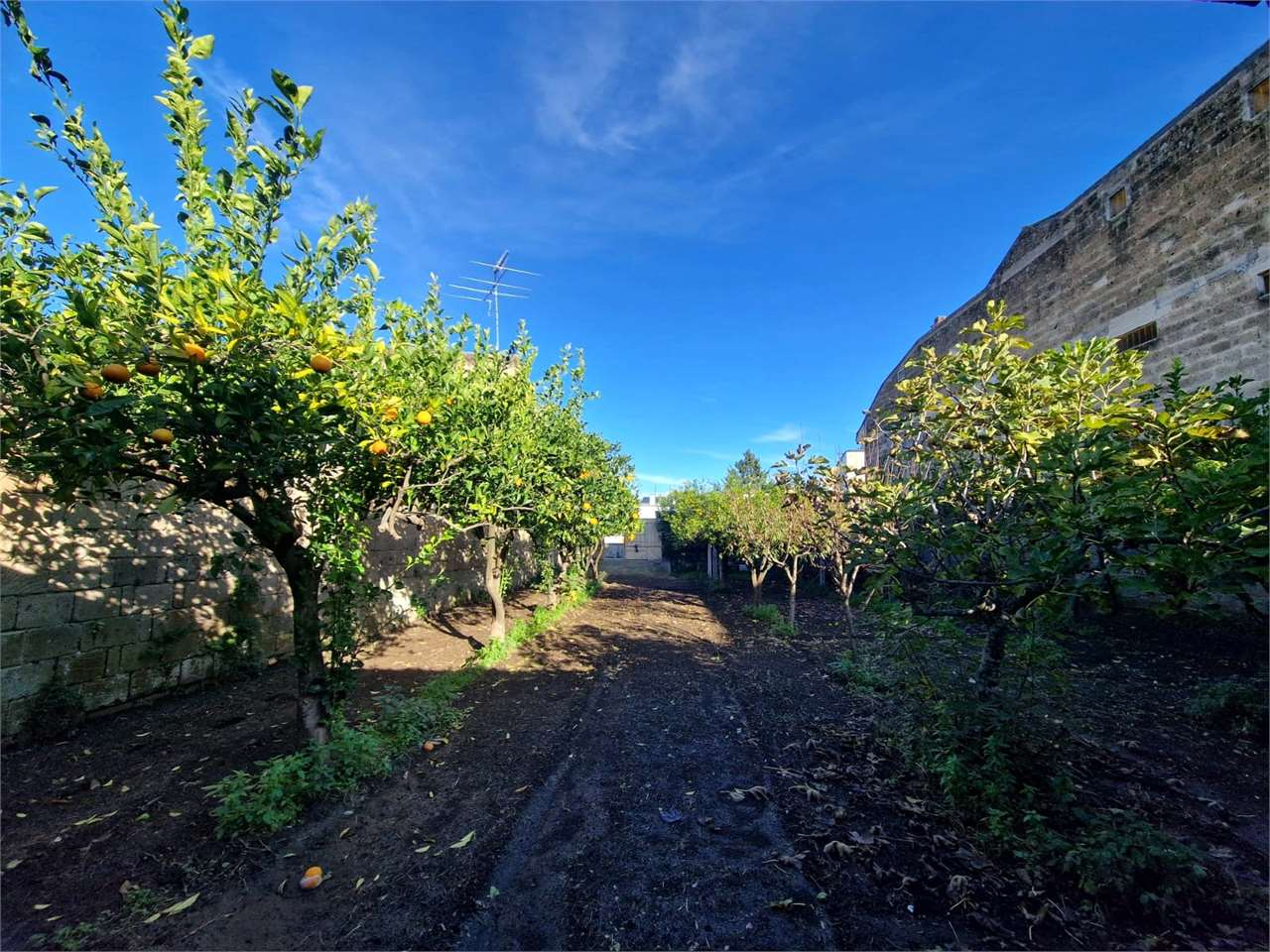 immagine annuncio 4 di 9