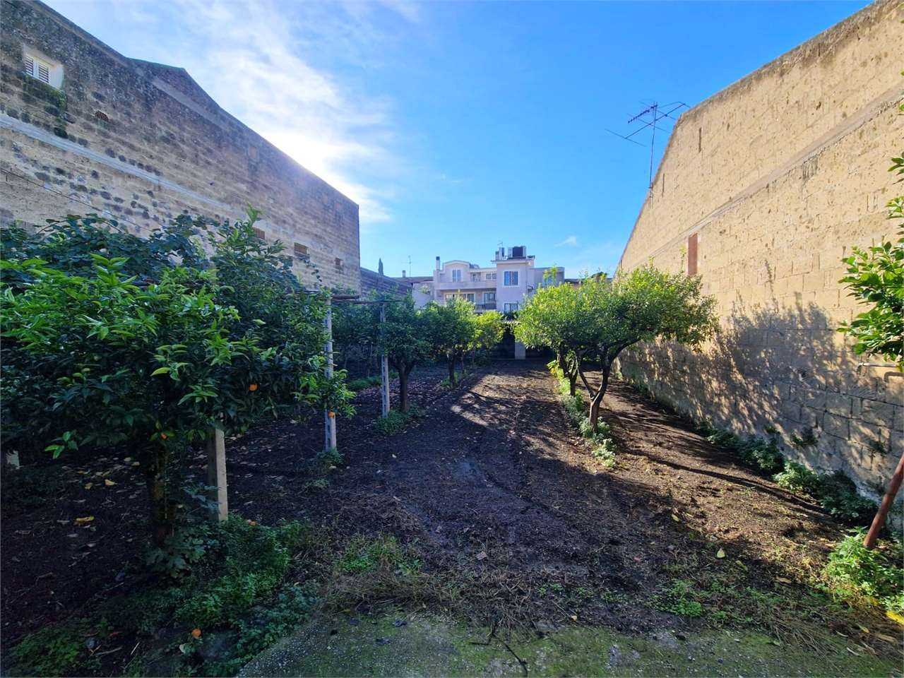 immagine annuncio 6 di 9