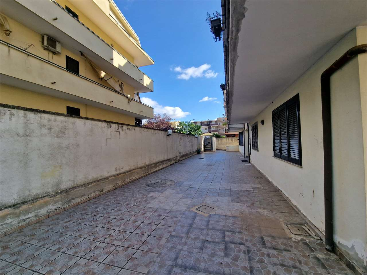 immagine annuncio 1 di 6