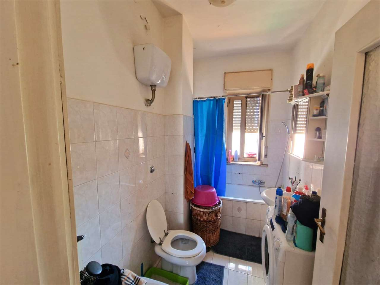 immagine annuncio 6 di 10