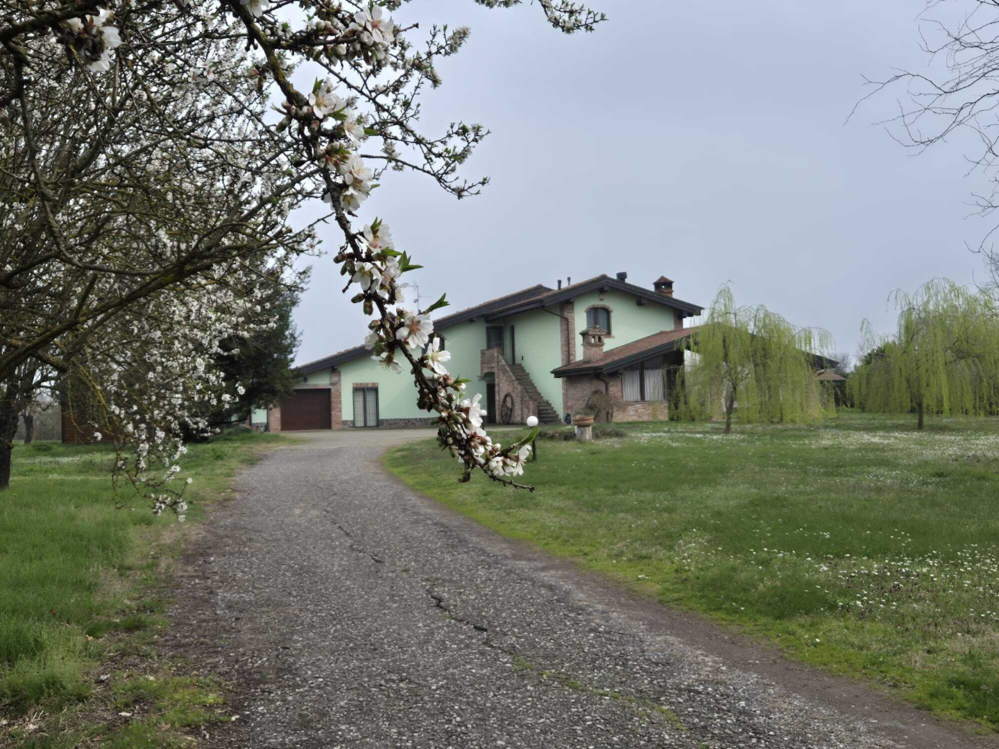 immagine annuncio 1 di 10