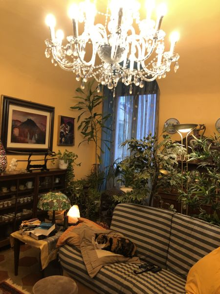 immagine annuncio 5 di 10