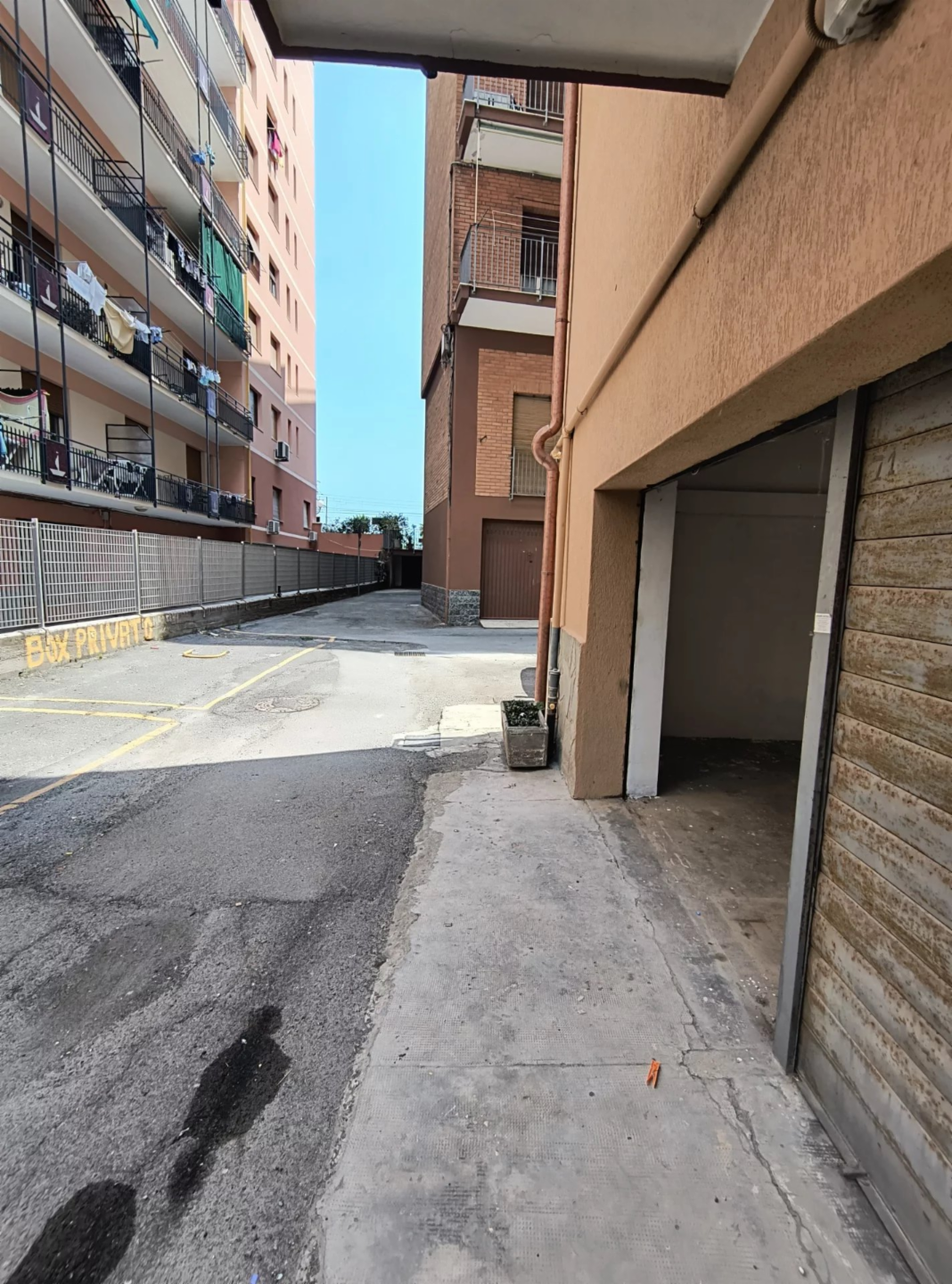 immagine annuncio 2 di 9
