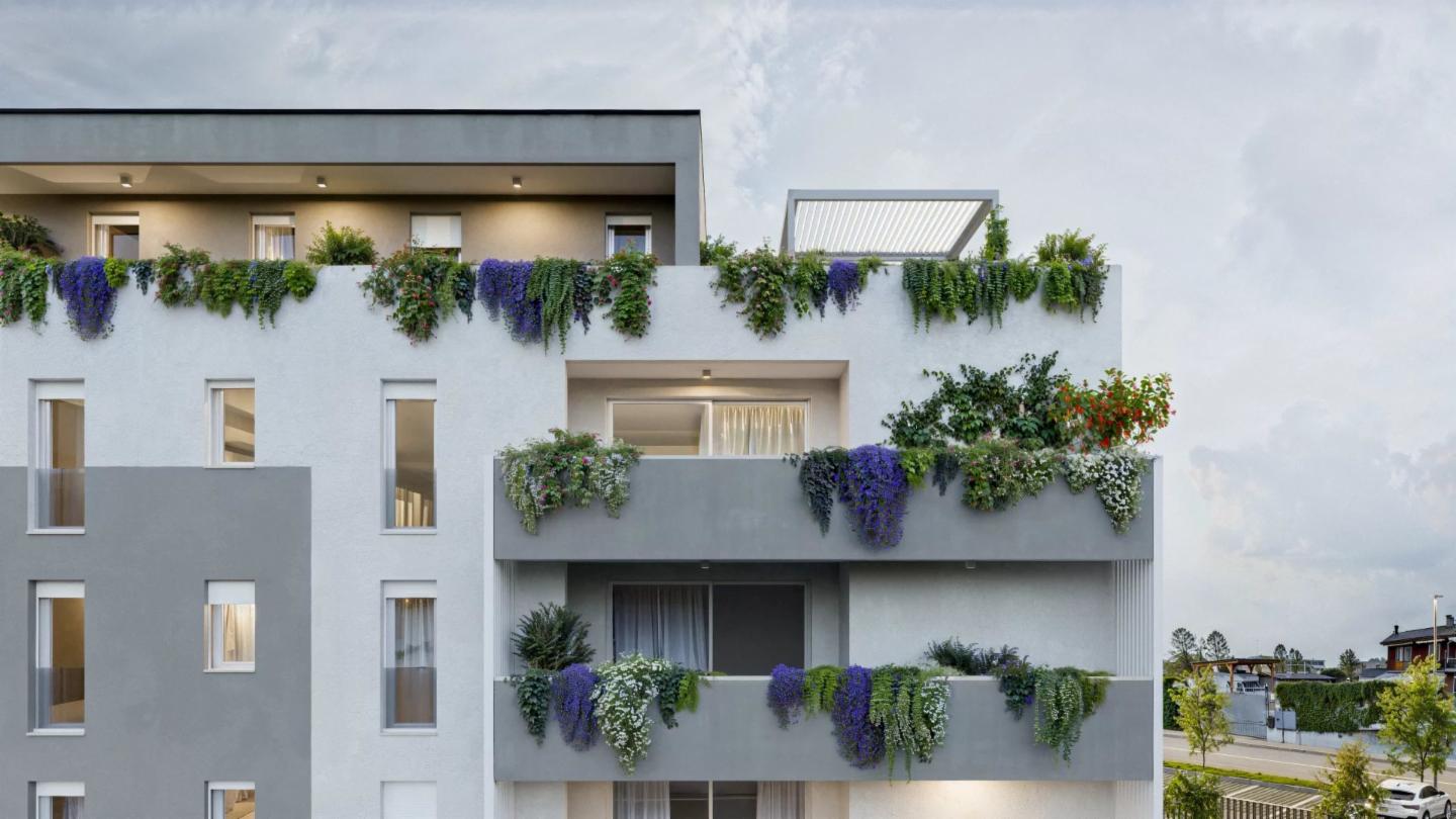 immagine annuncio 4 di 10