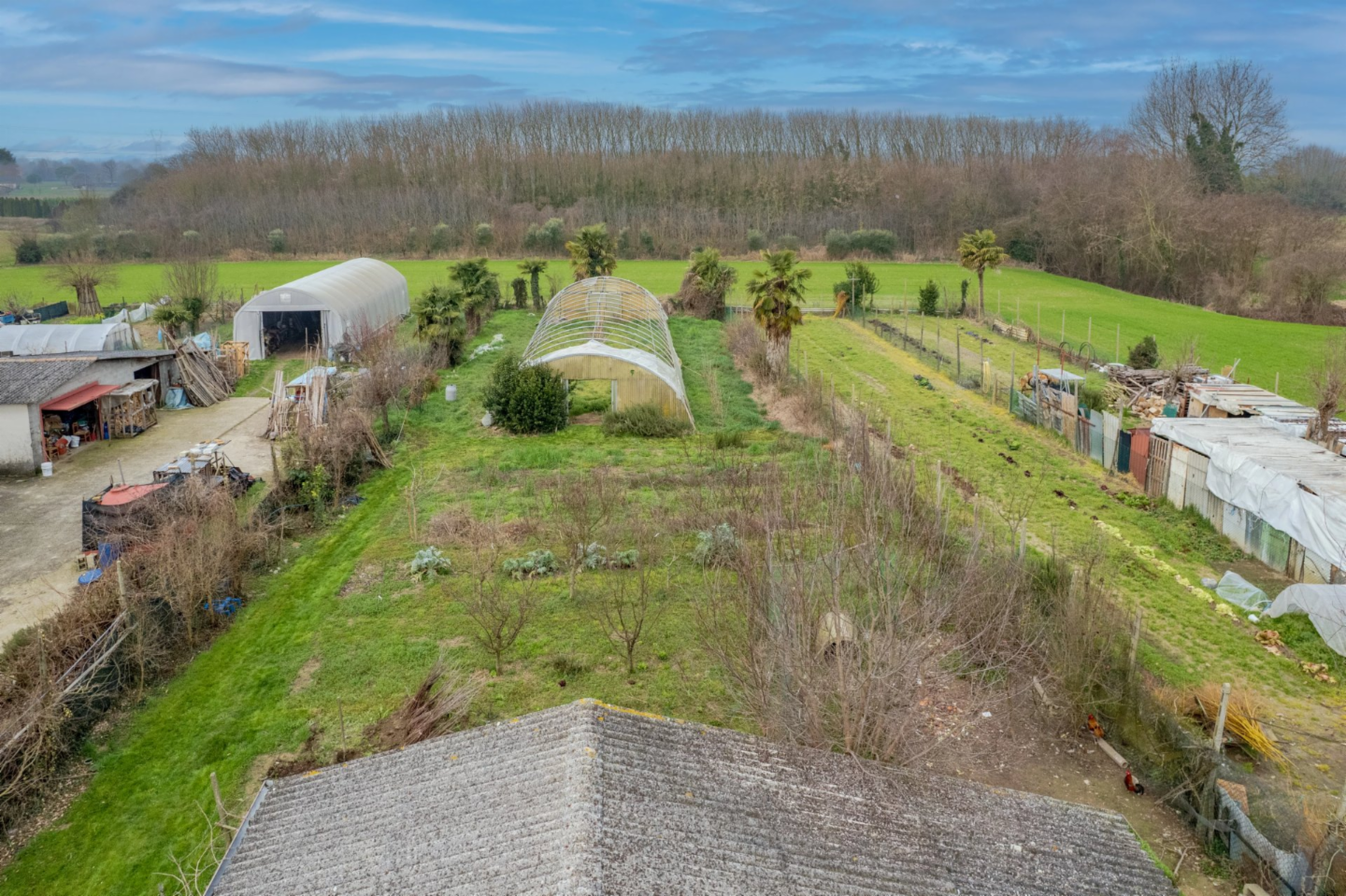 immagine annuncio 8 di 10