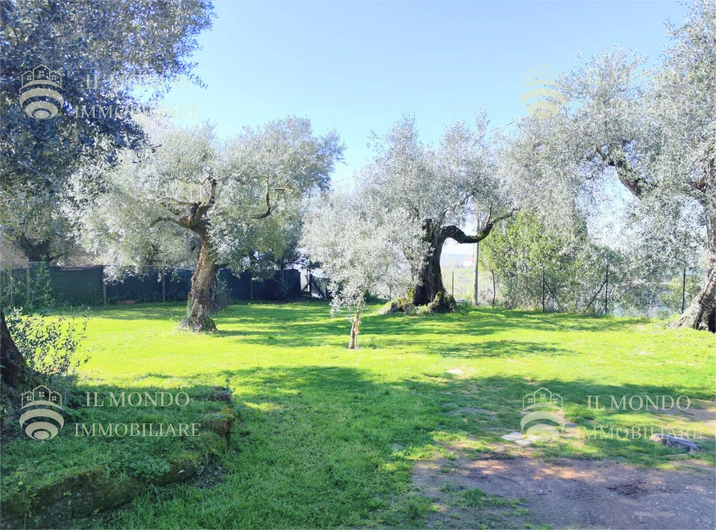 immagine annuncio 7 di 10