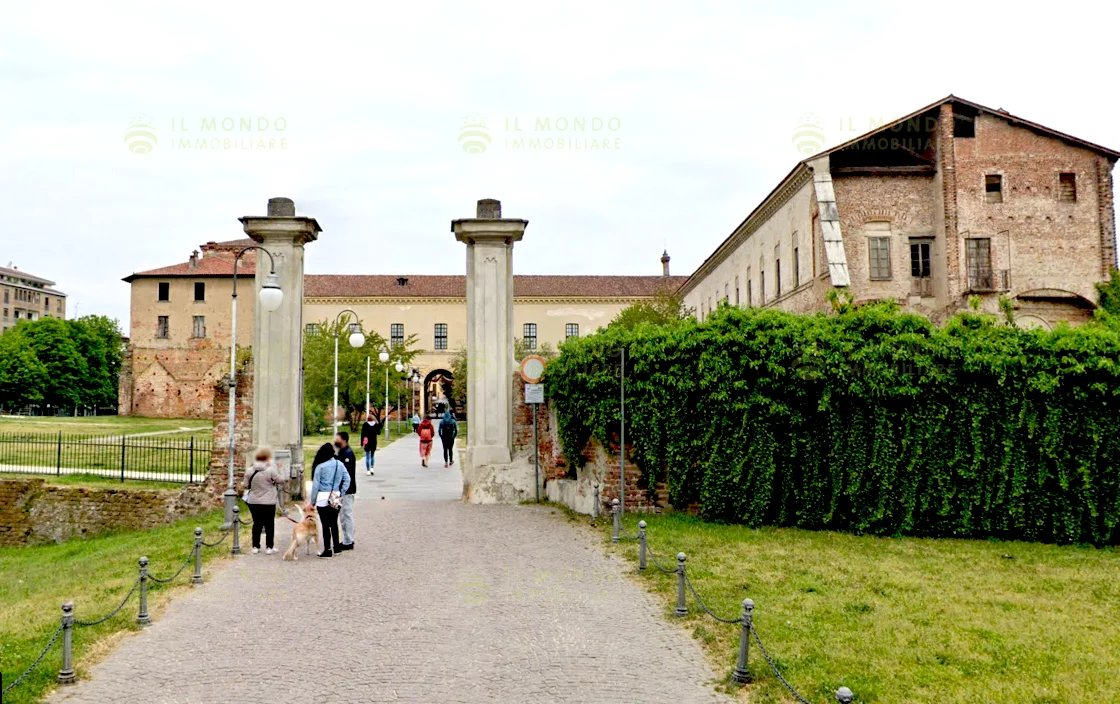immagine annuncio 2 di 7