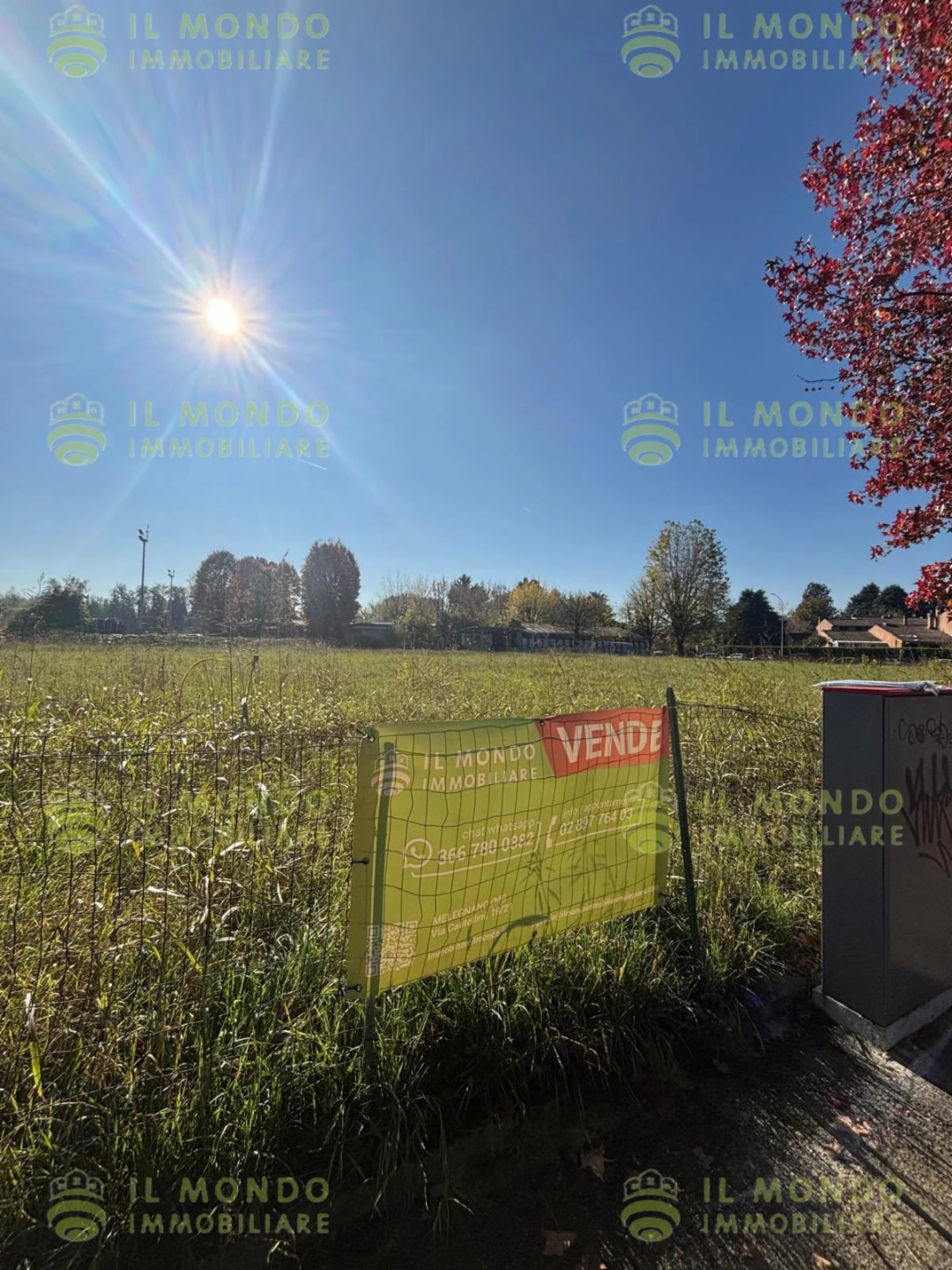 immagine annuncio 3 di 10