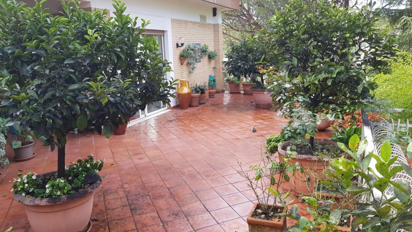 immagine annuncio 1 di 8