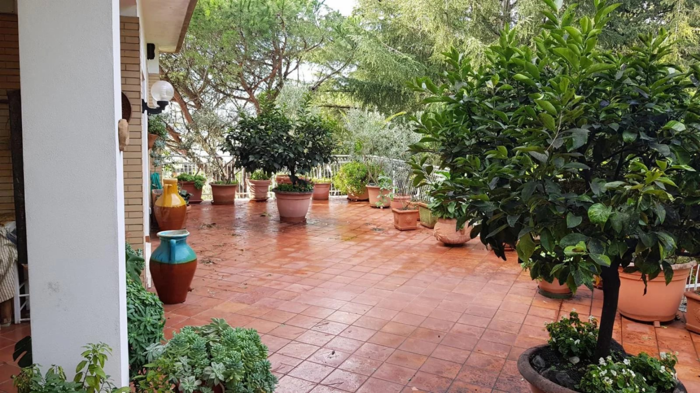 immagine annuncio 4 di 8