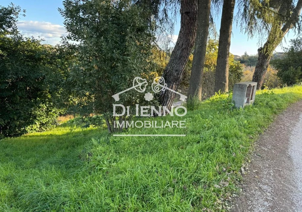 immagine annuncio 3 di 6