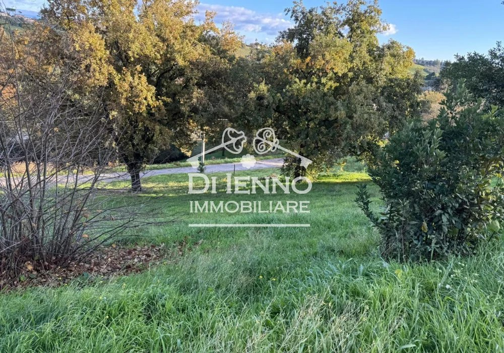 immagine annuncio 4 di 6